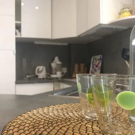 Centre Rose Apartment Toulouse